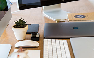 KAIYUN-15000名跑者从东方明珠启程，2026上海半程马拉松本周日开跑，吴向东、马瑞、李芷萱、许双双领衔出战